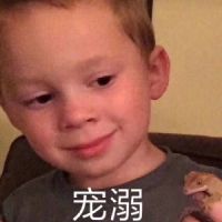 赵日天的大脑