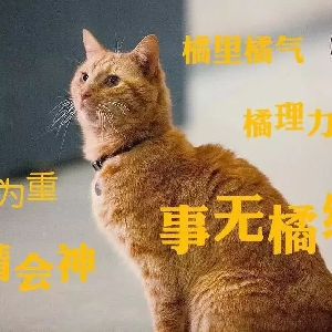 能忍2019