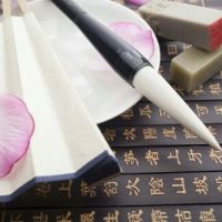 无我0随心