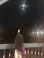 鱼儿无言