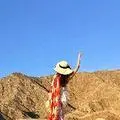 冲浪鸭