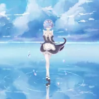 小小黑QAQ