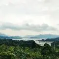 我是朵朵西