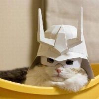 郑怀亭