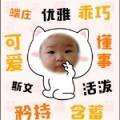肥汪的二喵
