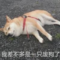 戒赌！