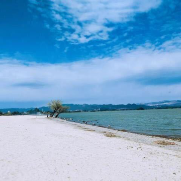 二十一世纪番仓王