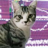 赵大猫