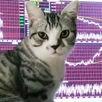 赵大猫