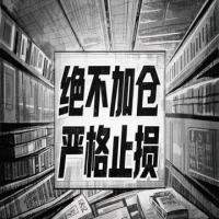 龙升云霄