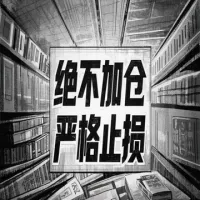 龙升云霄