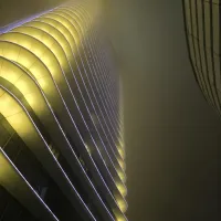 采九朵莲