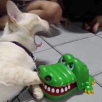 厦门第一顶