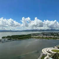 一颗老韭菜8