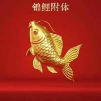 锦鲤♥上岸