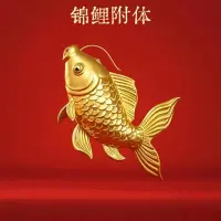 锦鲤♥上岸