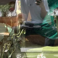 EasyMoney_Sniper