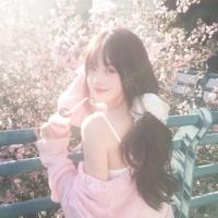 椰冰奶糕