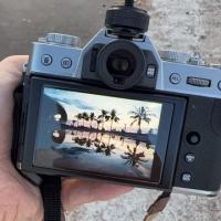 疯狂的小海疼