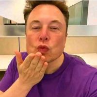 Elon Musk Fan page