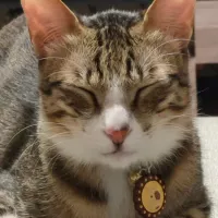 郑桑oo