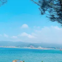 我有我的想法