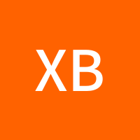 xB籽