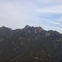 不懂求学