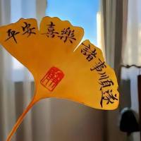 未来可期88