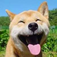 老车来了