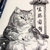 喵了个喵*^_^*