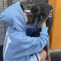 曾经那年