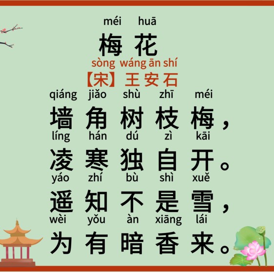 大苗苗