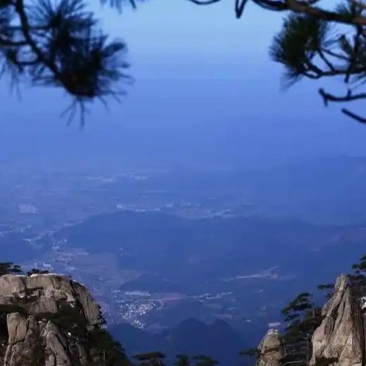 wangshiruyan_