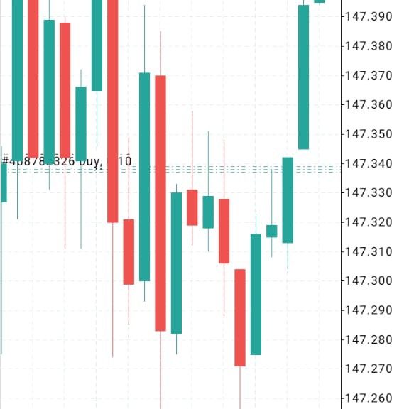 Rolex_Fx_Trader