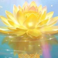 张金77