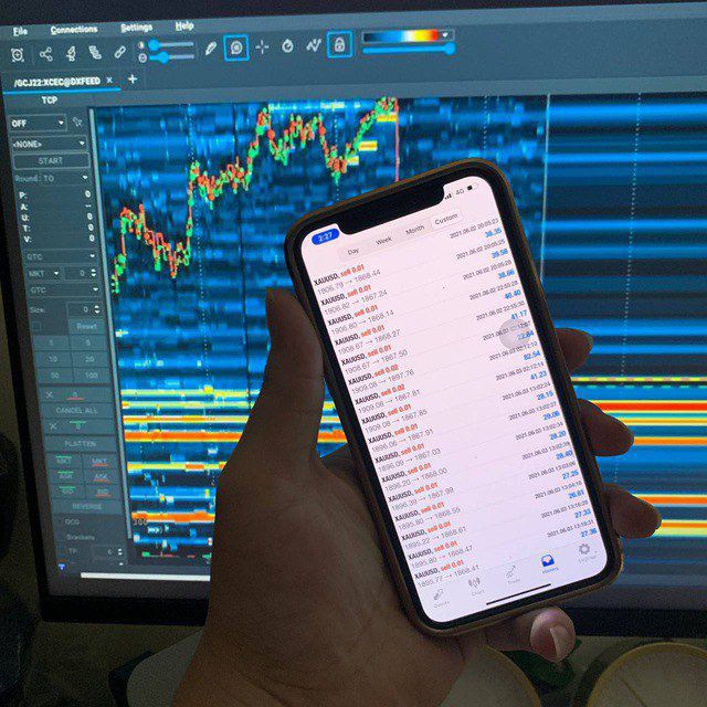 Tcs_trader1