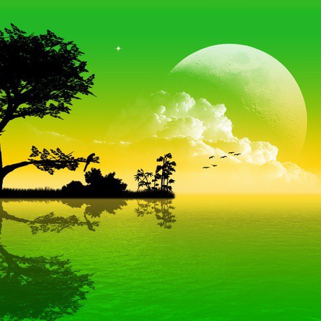 မြဝတီ ဒိုင်ချုပ့်ကြီး