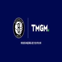 TMGM AM