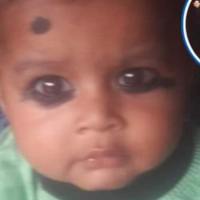 International_Plate2274