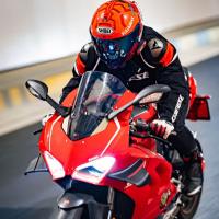 Particular_Democracy04