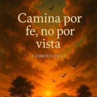 International_Willpower547