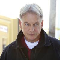 Mark Harmon