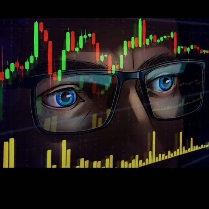 STAR TRADING_OFFICIAL3684