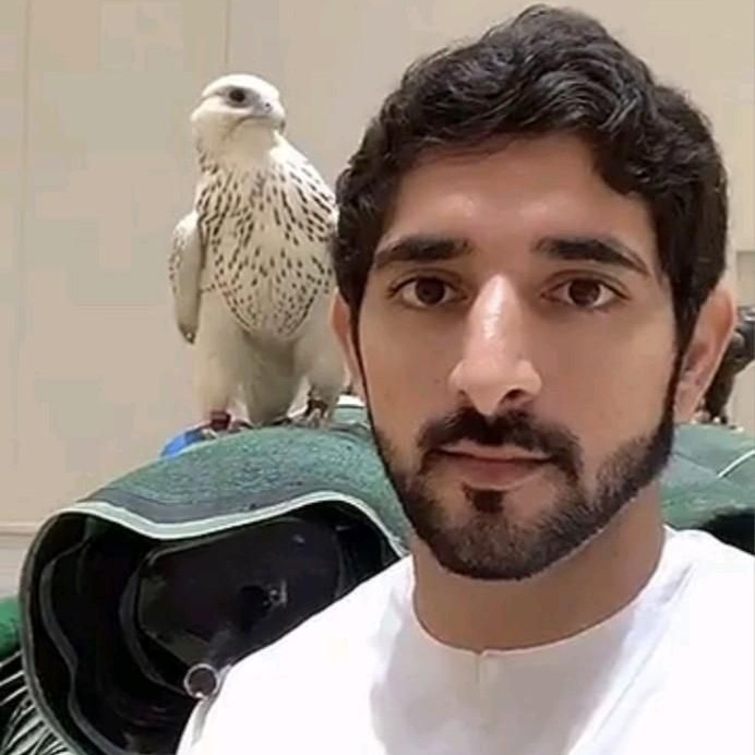 Fine_Animal77