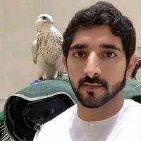 Fine_Animal77
