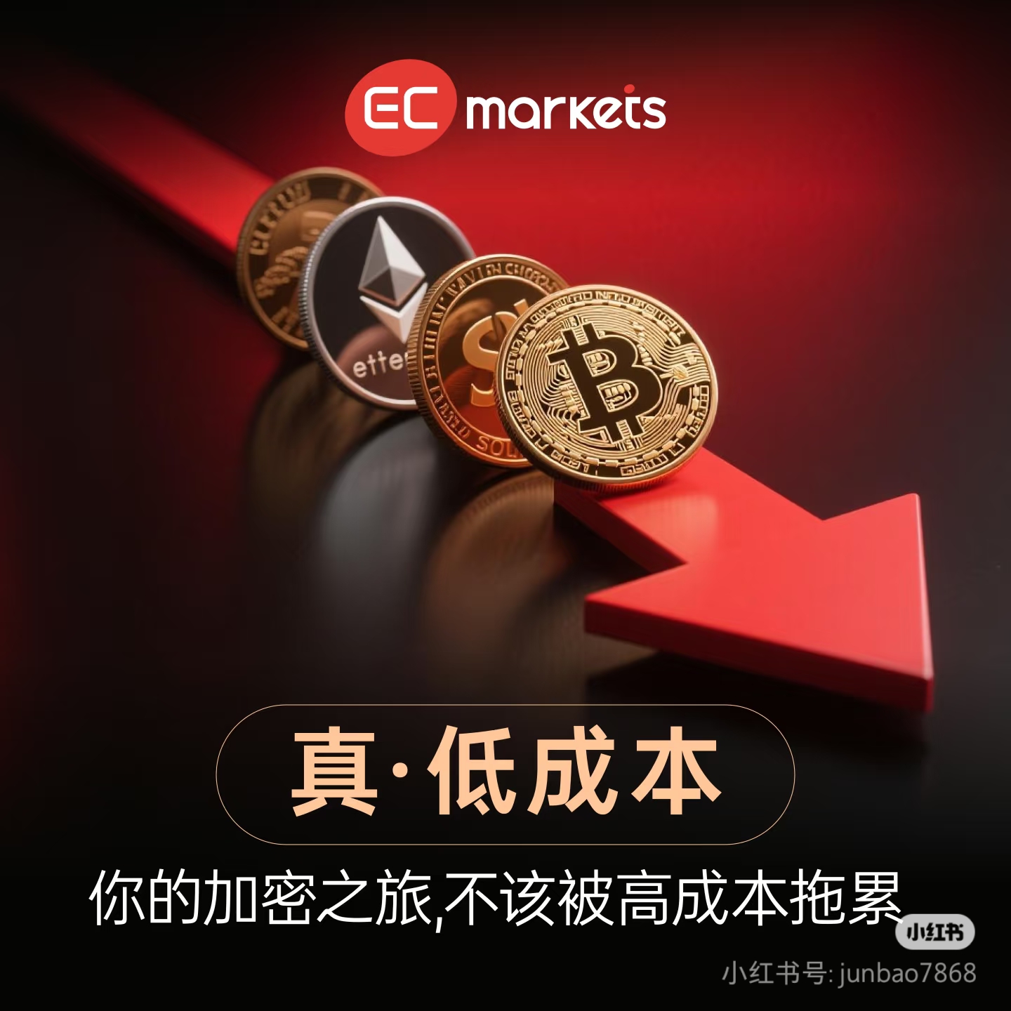 EC谌丰