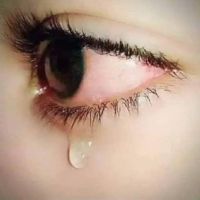 ابو رماح