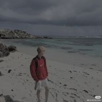Atlaswong