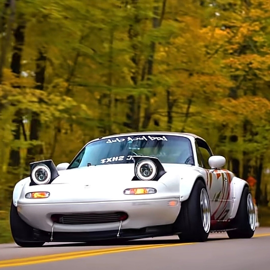 Particular_Honesty31